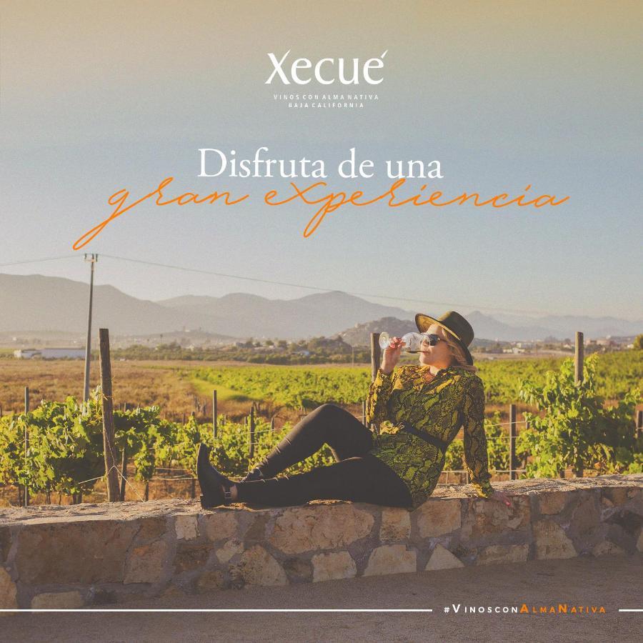 Vinos Xecue Hotel Ensenada Luaran gambar
